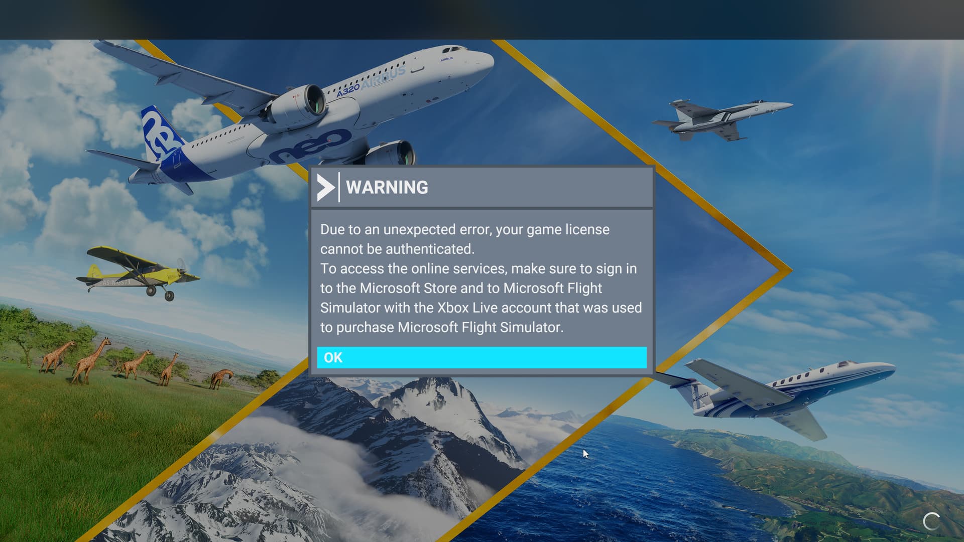 Game License Warning - General Discussion - Microsoft Flight Simulator  Forums