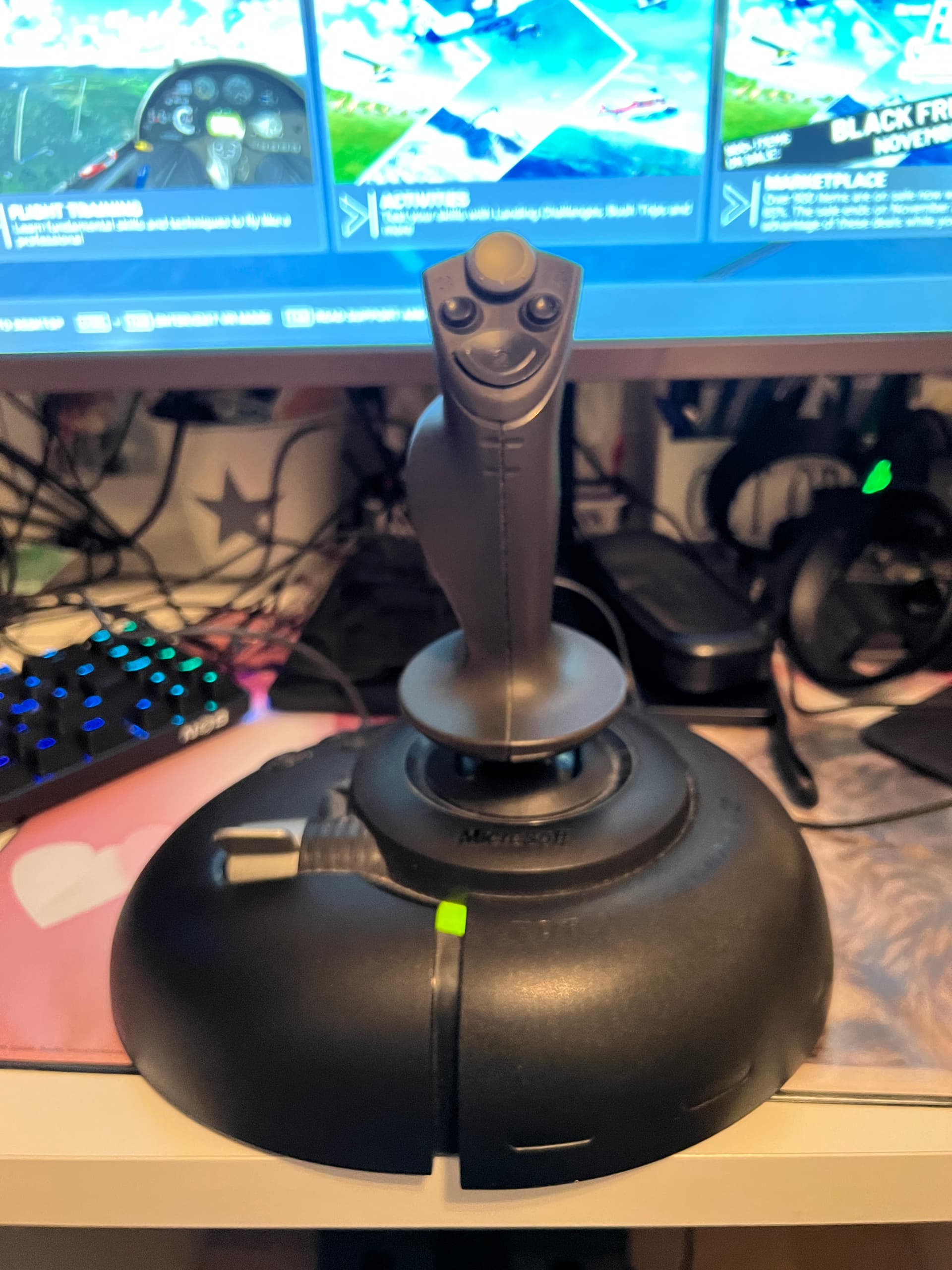This schtick is 22+ years and still playing the game like a pro! - whats  your oldest HW? - General Discussion - Microsoft Flight Simulator Forums