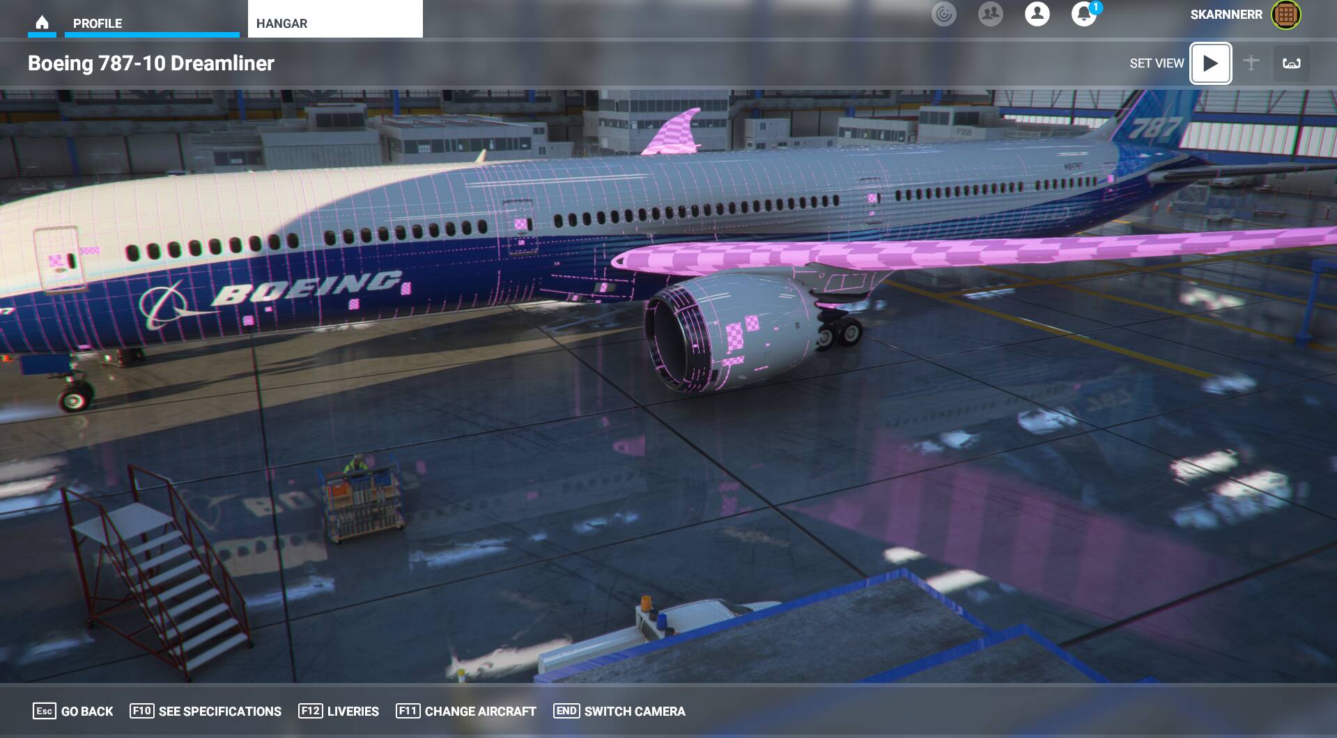 787 bugged textures Install Performance Graphics Microsoft