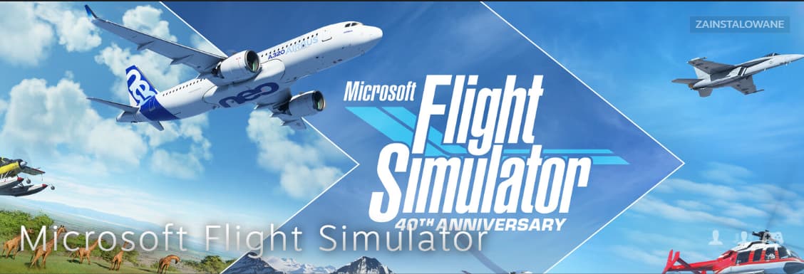 Steam Library missing logo (merged with background) - General Discussion - Microsoft  Flight Simulator Forums