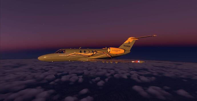 Microsoft Flight Simulator 2_8_2021 4_45_45 PM