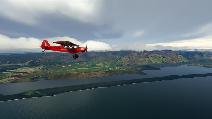 Microsoft Flight Simulator 2020-08-29 10_58_56 jpeg