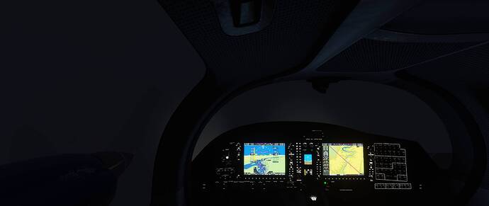 Microsoft Flight Simulator 31_01_2021 23_03_16