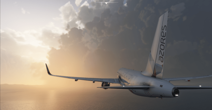 Microsoft Flight Simulator 8_27_2020 1_24_02 AM