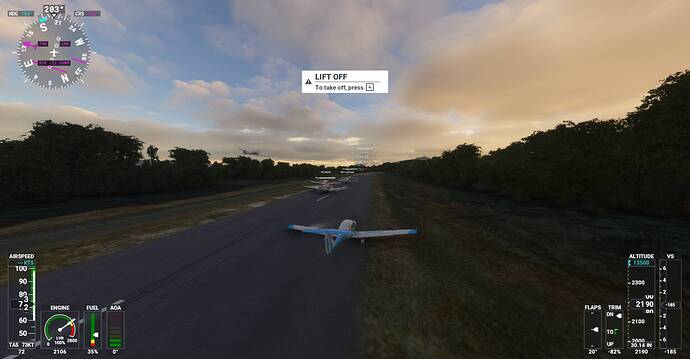 Microsoft Flight Simulator Screenshot 2021.01.10 - 22.01.24.27