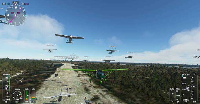 Microsoft Flight Simulator Screenshot 2021.01.09 - 19.54.00.55