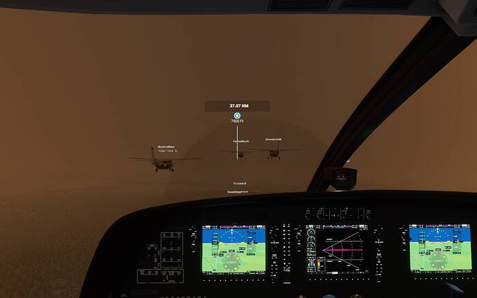 Microsoft Flight Simulator 15_02_2021 21_39_49