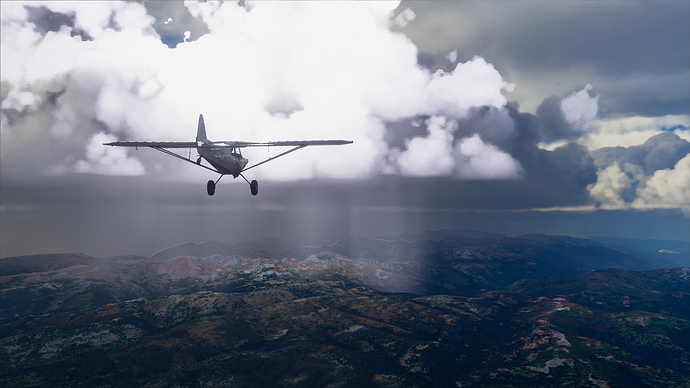 Microsoft Flight Simulator 2020 Idaho Bush Trip-16