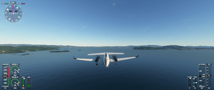 Microsoft Flight Simulator 10_3_2020 11_03_17 PM