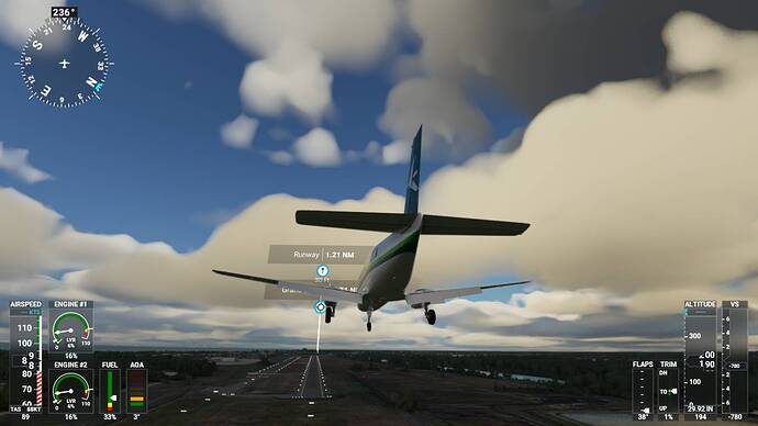 Microsoft Flight Simulator 4_28_2021 4_51_12 AM