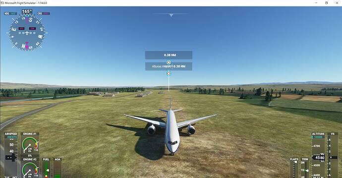 Microsoft Flight Simulator 4_4_2021 10_56_42 PM