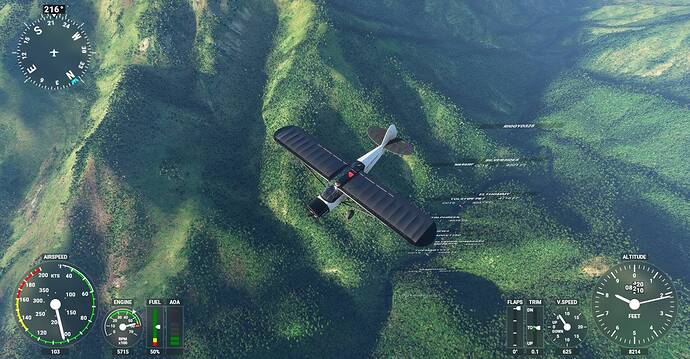 Microsoft Flight Simulator Screenshot 2020.11.29 - 21.57.52.07