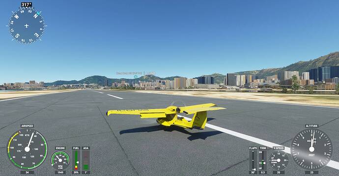 Microsoft Flight Simulator Screenshot 2021.01.22 - 21.23.11.02