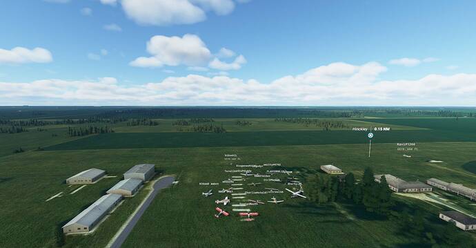 Microsoft Flight Simulator Screenshot 2021.03.25 - 21.59.23.85