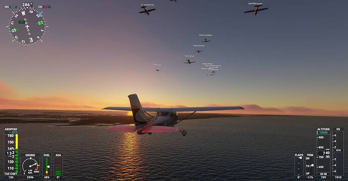 Microsoft Flight Simulator Screenshot 2021.01.27 - 21.59.16.91