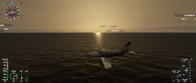 Microsoft Flight Simulator 07_02_2021 22_55_37