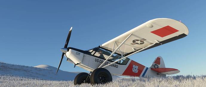 Microsoft Flight Simulator Screenshot 2020.12.28 - 20.53.18.70