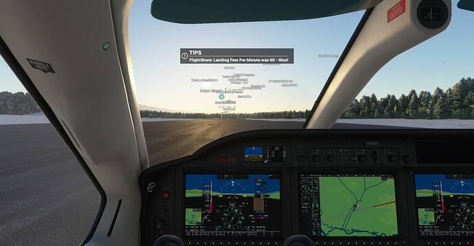 Microsoft Flight Simulator Screenshot 2021.01.24 - 21.12.25.37