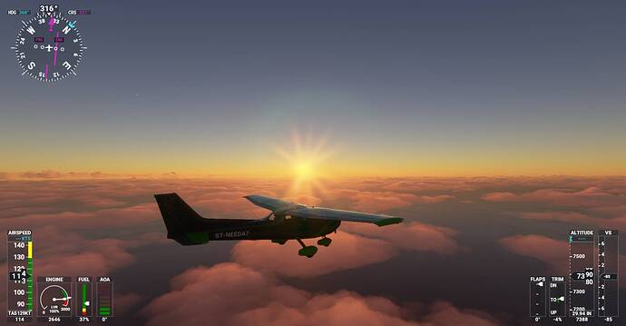 Microsoft Flight Simulator Screenshot 2021.01.09 - 22.22.02.63