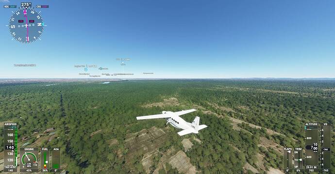 Microsoft Flight Simulator Screenshot 2021.03.05 - 02.19.25.70