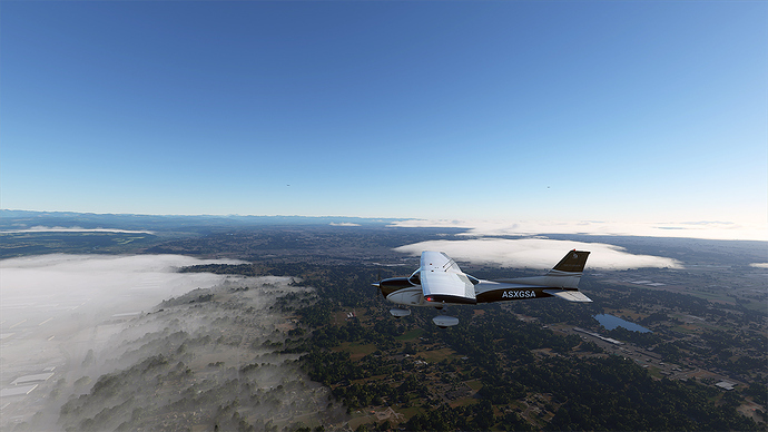 Microsoft Flight Simulator 2020-08-28 21_17_06 jpeg