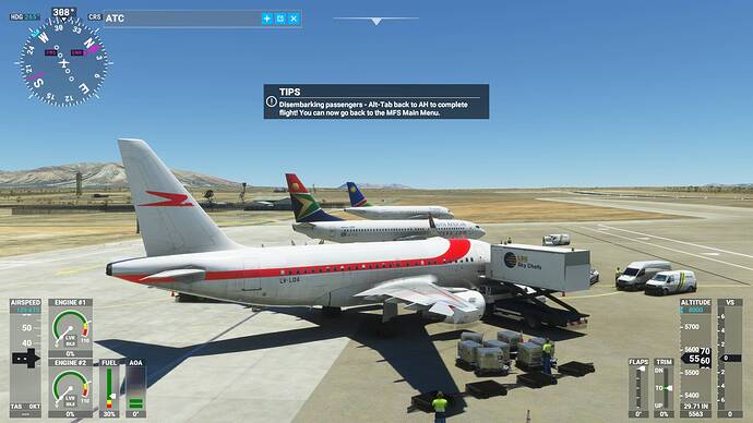 Microsoft Flight Simulator 30_01_2021 21_54_28