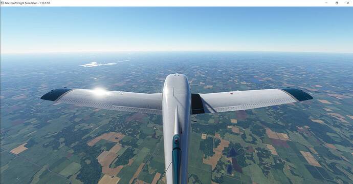 Microsoft Flight Simulator 3_5_2021 12_08_07 AM