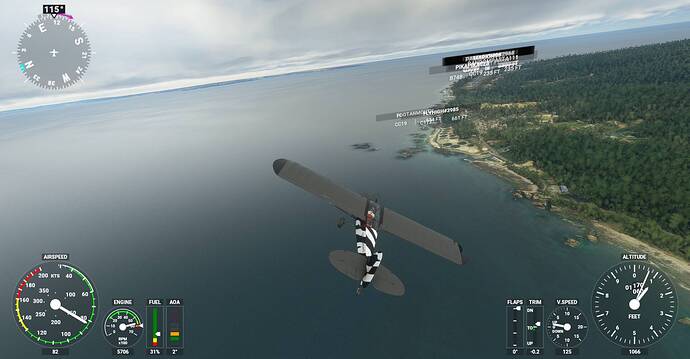 Microsoft Flight Simulator Screenshot 2020.12.31 - 21.30.55.58