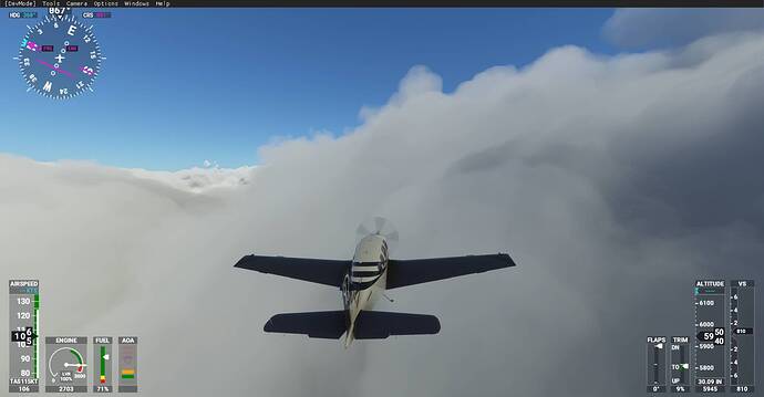 Microsoft Flight Simulator Screenshot 2020.11.30 - 21.29.38.42