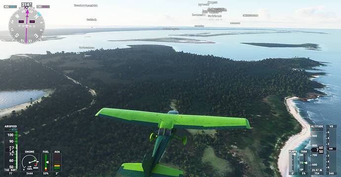 Microsoft Flight Simulator Screenshot 2021.01.09 - 21.30.20.42