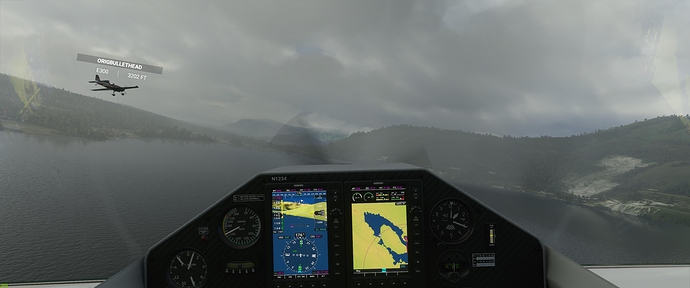 Microsoft Flight Simulator 9_7_2020 7_17_40 PM