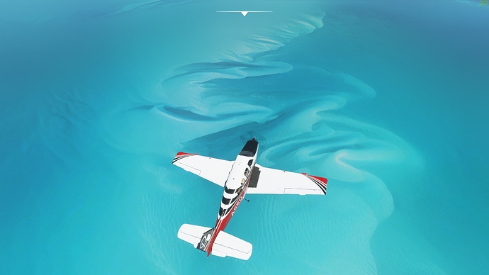 Microsoft Flight Simulator 17_08_2020 14_50_04