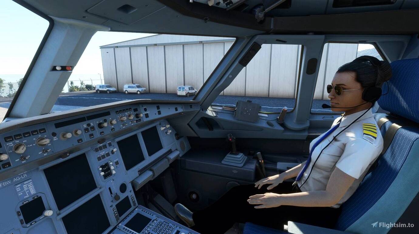 Airplane Flight Pilot Simulator instal the last version for mac