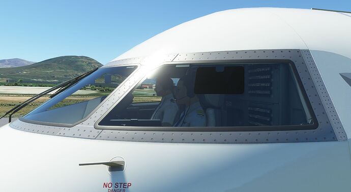 Microsoft Flight Simulator CRJ (7)