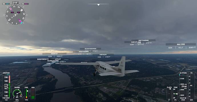 Microsoft Flight Simulator Screenshot 2020.11.29 - 16.12.18.82
