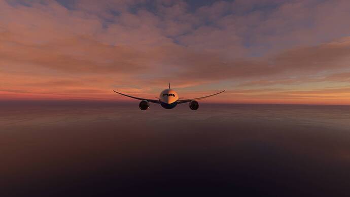 Microsoft Flight Simulator 02.05.2021 11_38_10 - Copy