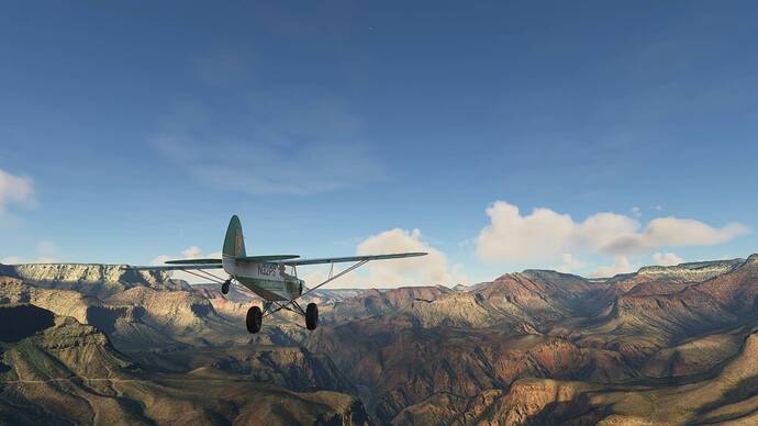 Microsoft Flight Simulator 2_15_2021 2_18_06 PM