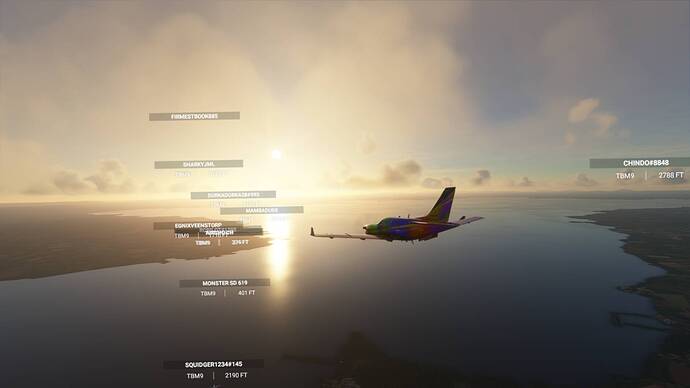 Microsoft Flight Simulator 2_19_2021 7_29_55 PM