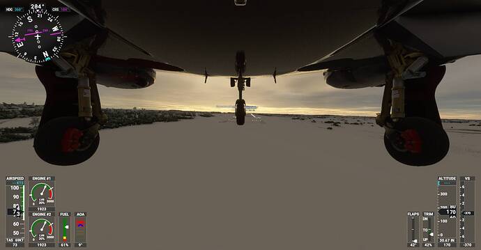Microsoft Flight Simulator Screenshot 2021.02.08 - 22.22.43.76