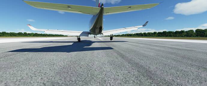 Microsoft Flight Simulator 11_25_2020 9_51_48 AM