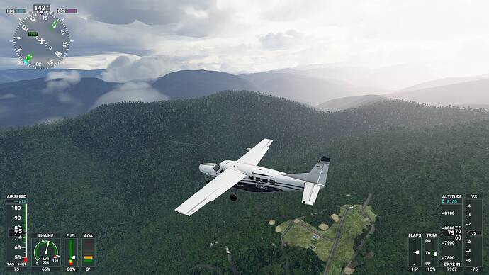 Found the Bugalaga jungle airstrip in the Epic Landing Challenges, use ...