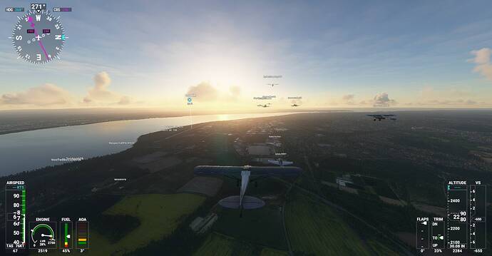 Microsoft Flight Simulator Screenshot 2021.03.06 - 22.43.22.40