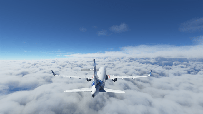 Microsoft Flight Simulator 22_08_2020 14_27_44