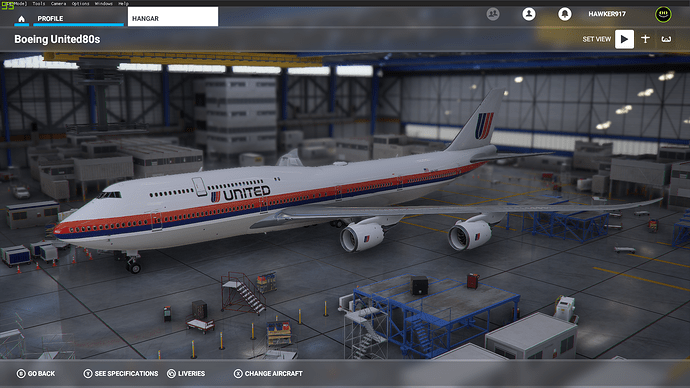 UAL747Painted3