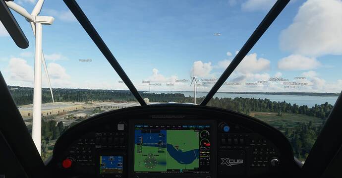Microsoft Flight Simulator Screenshot 2021.03.06 - 21.03.53.85