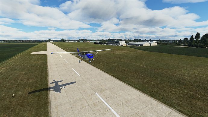Microsoft Flight Simulator 2020-08-29 16_42_05 jpeg