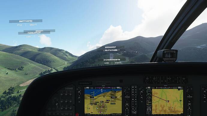 2021-03-18 20_54_53-Microsoft Flight Simulator - 1.14.5.0