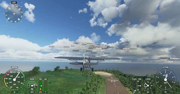 Microsoft Flight Simulator Screenshot 2020.12.31 - 20.43.33.85