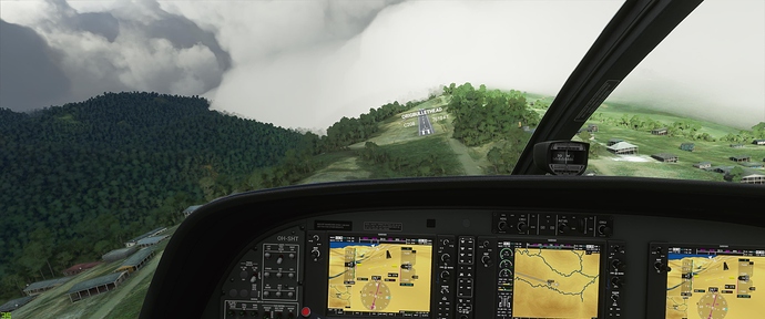 Microsoft Flight Simulator 10_24_2020 4_33_24 PM