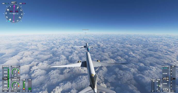 Microsoft Flight Simulator Screenshot 2021.02.02 - 13.51.07.89